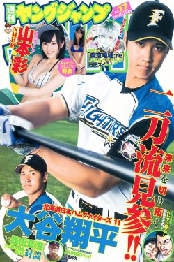 王莉的老公简历